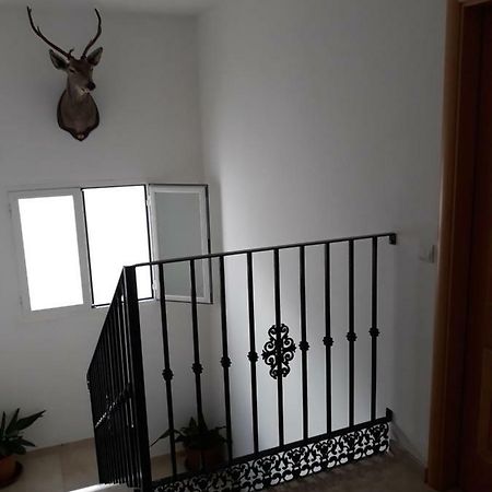Atico Centrico Apartment Antequera Bagian luar foto